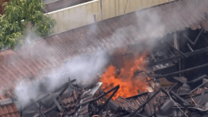 mother-escapes-fiery-narellan-vale-home-after-son-s-alleged-arson