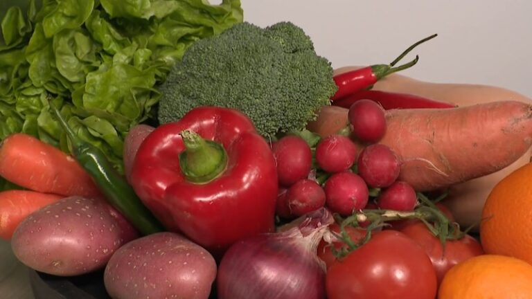 new-csiro-study-confirms-weight-loss-boosts-wellbeing-now