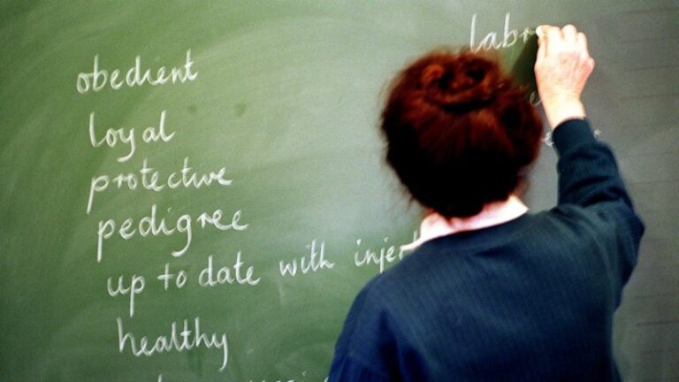 new-quiz-reveals-which-nation-pays-teachers-the-most