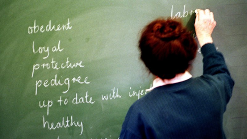 new-quiz-reveals-which-nation-pays-teachers-the-most