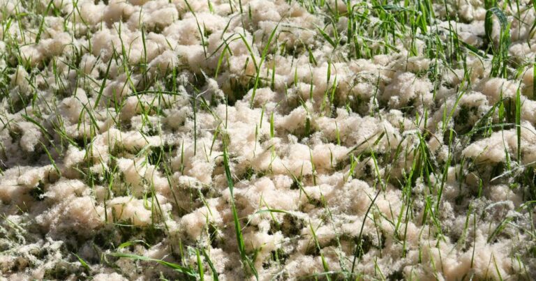 north-wangaratta-factory-fined-45-000-for-300kg-air-discharge
