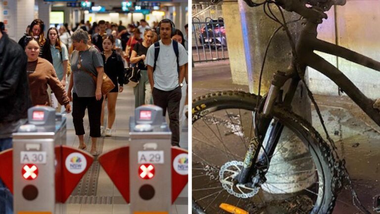 nsw-bans-converted-e-bikes-on-trains-after-fire-incidents
