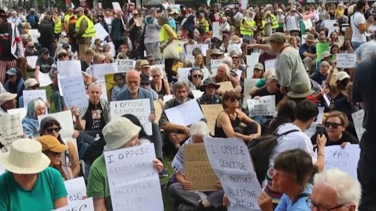 over-400-arrested-in-london-during-palestine-action-protest