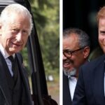 prince-harry-claims-insiders-sabotage-king-reconciliation-efforts