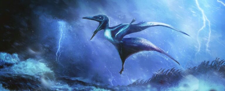 pterosaur-hatchlings-fossils-reveal-150-million-year-old-mystery