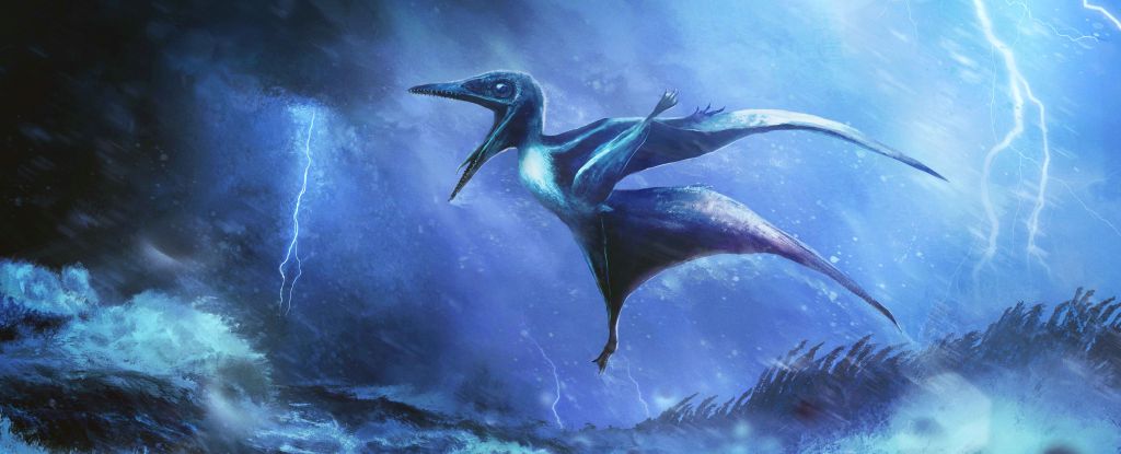 pterosaur-hatchlings-fossils-reveal-150-million-year-old-mystery