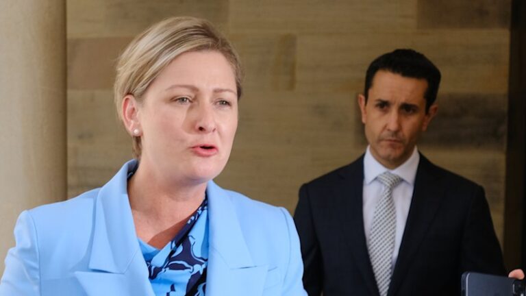 queensland-launches-urgent-audit-after-critical-child-safety-it-failure