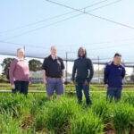 researchers-develop-analytics-tool-to-boost-australia-s-grain-sector