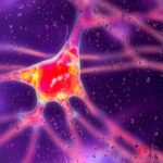 researchers-trial-groundbreaking-gene-therapy-to-combat-huntington-s-disease