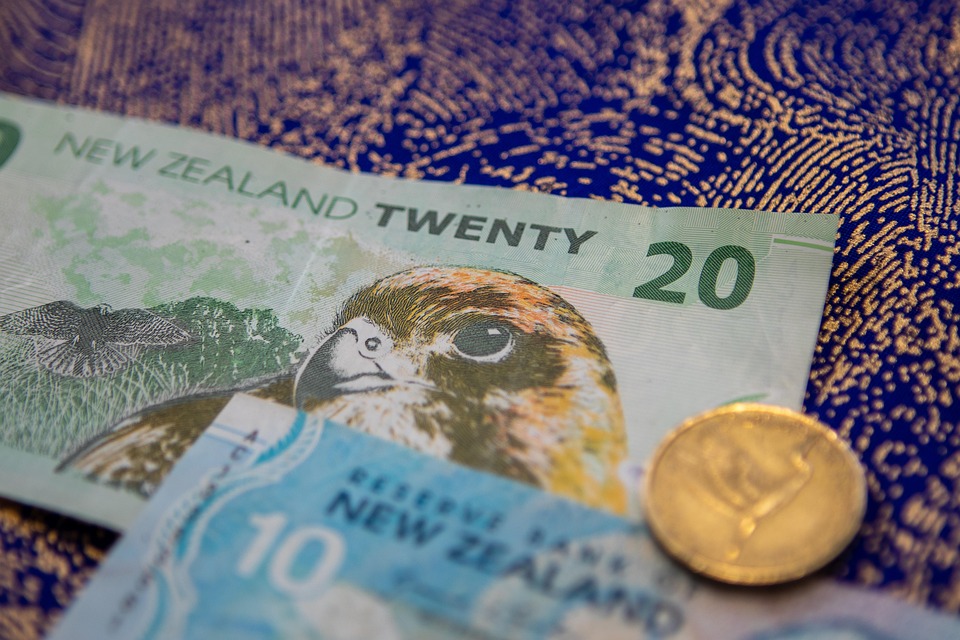 reserve-bank-of-new-zealand-updates-monetary-policy-review-progress