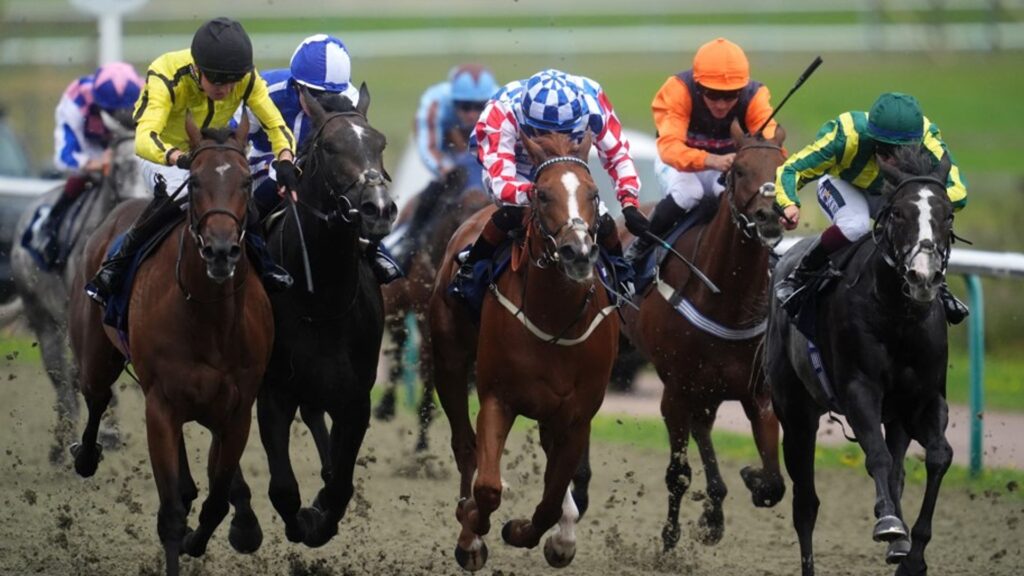 run-with-it-aims-for-hat-trick-victory-at-lingfield-today