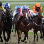 run-with-it-aims-for-hat-trick-victory-at-lingfield-today