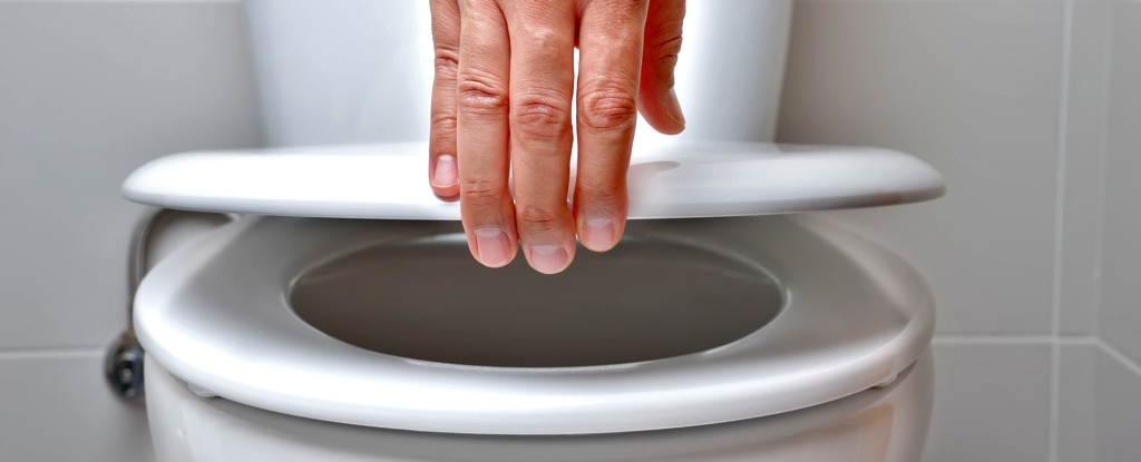 scientific-insights-reveal-the-truth-about-public-toilets