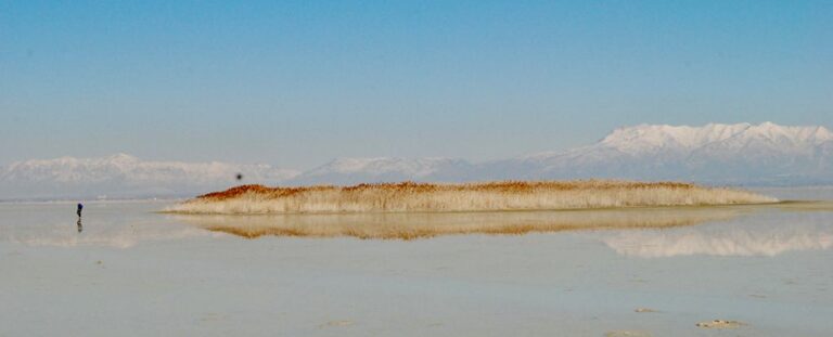 scientists-discover-underground-freshwater-network-in-great-salt-lake