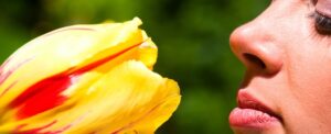 sense-of-smell-loss-identified-as-early-alzheimer-s-indicator