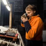 siren-gold-secures-4-million-to-accelerate-new-zealand-projects