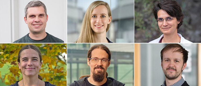 six-researchers-at-w-rzburg-university-secure-1-5-million-grants