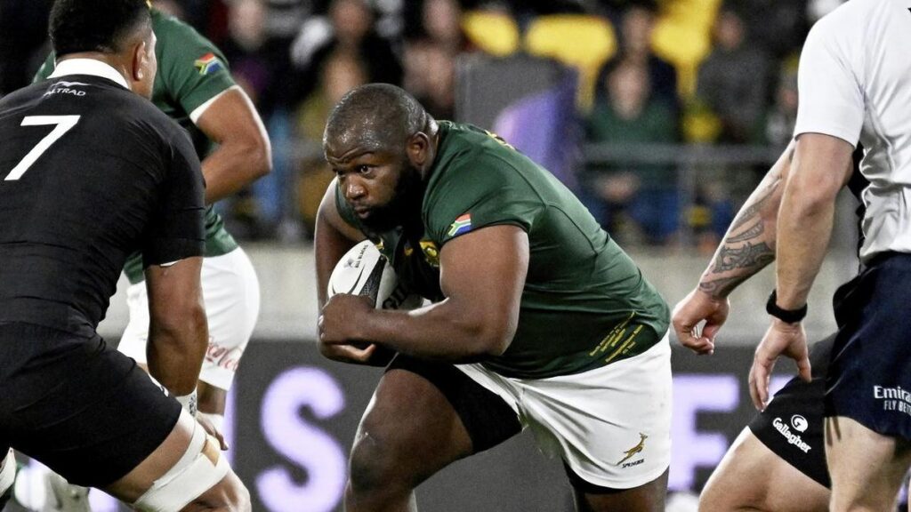 south-africa-s-springboks-adjust-line-up-for-pumas-clash-now