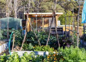 spring-garden-magic-artha-holmes-cultivates-abundance-now
