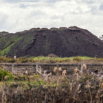 state-orders-urgent-cleanup-of-contaminated-soil-in-bangholme