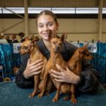 teenager-showcases-passion-for-dogs-at-melbourne-royal-show