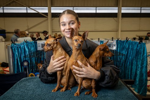 teenager-showcases-passion-for-dogs-at-melbourne-royal-show