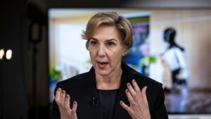 tesla-chair-denholm-declares-musk-essential-for-ai-transition