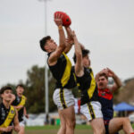 tigers-claim-premiership-spot-defeating-disappointing-donnybrooks