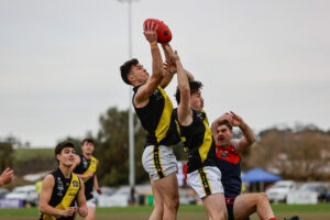 tigers-claim-premiership-spot-defeating-disappointing-donnybrooks
