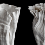 toad-intestines-turned-into-exquisite-jewelry-challenge-norms