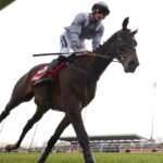 tom-george-takes-charge-of-il-est-francais-ahead-of-jumps-season
