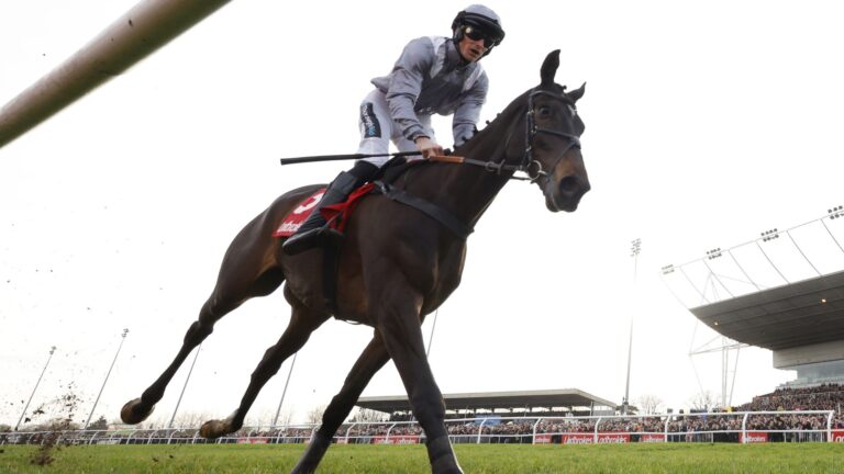 tom-george-takes-charge-of-il-est-francais-ahead-of-jumps-season