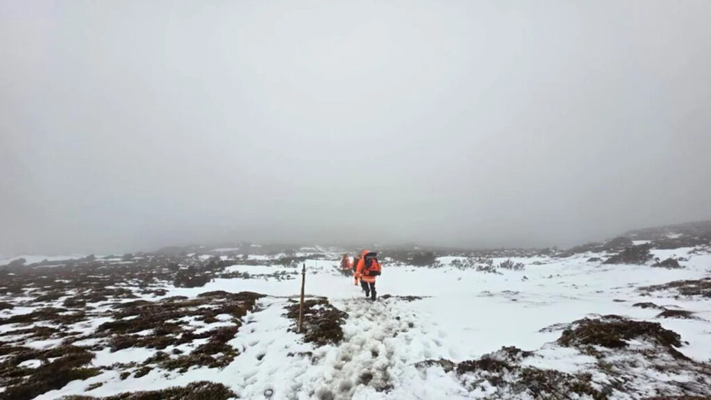 tourist-dies-in-cradle-mountain-hiking-tragedy-three-rescued
