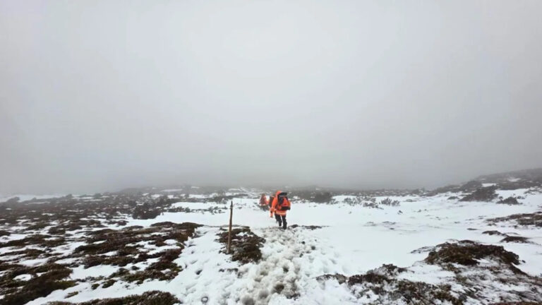 tourist-dies-in-cradle-mountain-hiking-tragedy-three-rescued