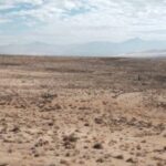 trump-seeks-10-stake-in-thacker-pass-lithium-project
