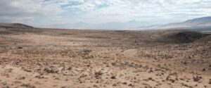 trump-seeks-10-stake-in-thacker-pass-lithium-project