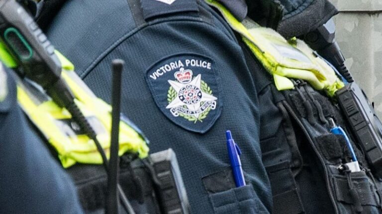 two-women-killed-on-hume-freeway-while-helping-injured-animal