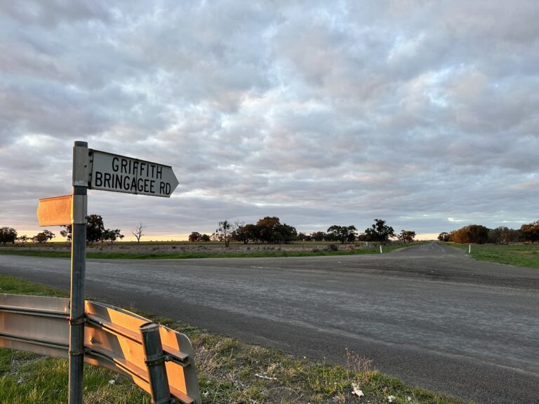urgent-call-to-action-road-safety-crisis-delayed-until-2029
