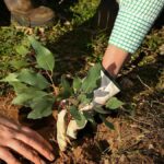 urgent-experts-gather-at-landcare-conference-to-tackle-ecosystem-crisis