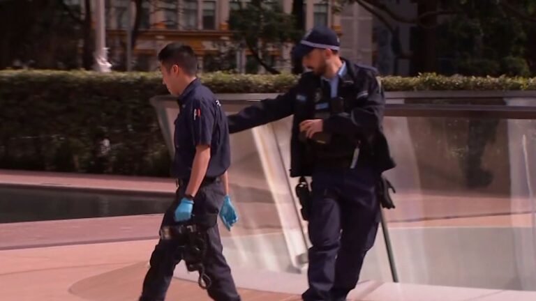 urgent-police-seek-public-help-to-identify-memorial-vandals
