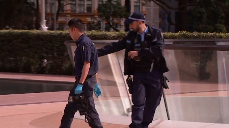 urgent-police-seek-public-help-to-identify-memorial-vandals