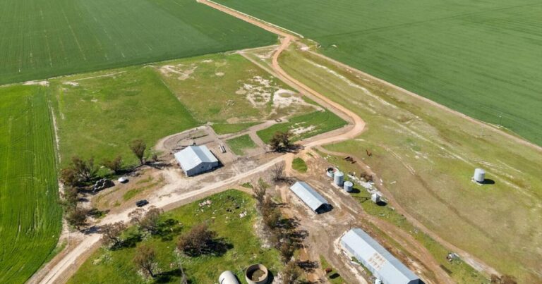 urgent-prime-wheatbelt-farms-near-dowerin-up-for-tender-now
