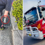 urgent-rescue-tow-truck-driver-saves-11-ducklings-in-gosford