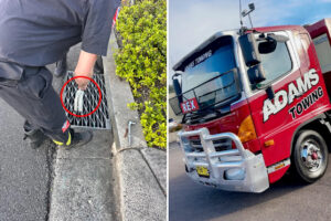 urgent-rescue-tow-truck-driver-saves-11-ducklings-in-gosford