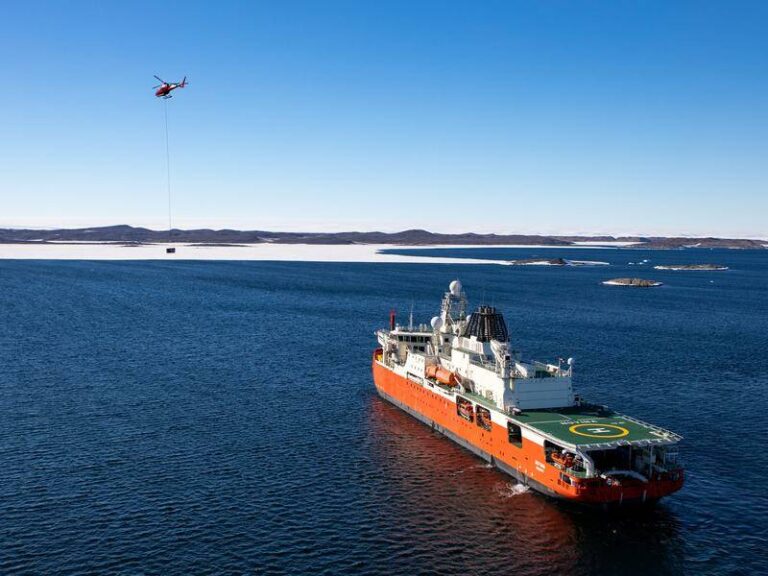 urgent-research-expedition-to-study-bird-flu-in-antarctica