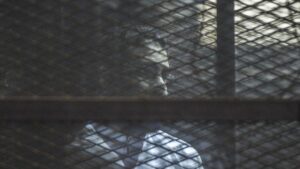 urgent-update-activist-alaa-abd-el-fattah-granted-pardon