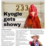 urgent-update-kyogle-news-inky-publishes-latest-edition-today