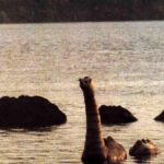 urgent-update-massive-unknown-creature-spotted-in-loch-ness
