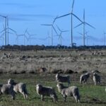 urgent-update-offshore-wind-industry-faces-major-investment-crisis