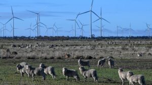 urgent-update-offshore-wind-industry-faces-major-investment-crisis